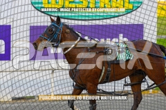 2026_PACEPIX_GP08092026_Bealawyer_WIN_WEB-12