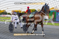 2026_PACEPIX_GP08092026_Bealawyer_WIN_WEB-14