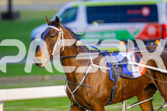 2025_PACEPIX_GP15072025_Race1_BeeKind_WIN_WEB-10