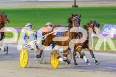 2025_PACEPIX_GP15072025_Race1_BeeKind_WIN_WEB-5