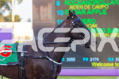 2025_PACEPIX_GP12092025_Race1_BettorsPride_WIN_WEB-2