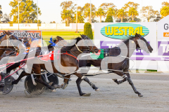 2025_PACEPIX_GP12092025_Race1_BettorsPride_WIN_WEB-9