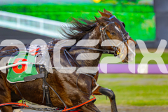 2025_PACEPIX_GP13062025_RACE1_BlazeOn_WIN_WEB-1