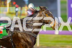 2025_PACEPIX_GP13062025_RACE1_BlazeOn_WIN_WEB-12