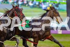 2025_PACEPIX_GP13062025_RACE1_BlazeOn_WIN_WEB-5