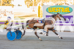 Gloucester Park - 13/02/2026