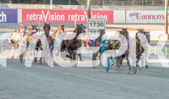 2026_GP13022026_RACE1_BlingItUp_WIN_WEB-2