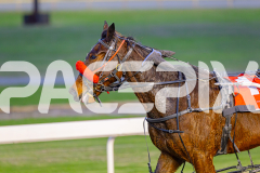 2025_PACEPIX_GP10062025_RACE1_Bonstar_WIN_WEB-14