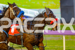 2025_PACEPIX_GP10062025_RACE1_Bonstar_WIN_WEB-4