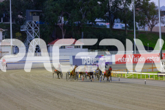 2025_PACEPIX_GP10062025_RACE1_Bonstar_WIN_WEB-5
