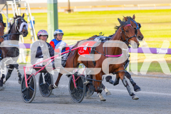 Gloucester Park - 31/10/2025
