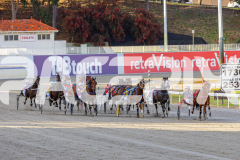 2025_Pacepix_GP31132025_Race1_BoyBlue_WIN_WEB-12