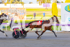 2025_Pacepix_GP31132025_Race1_BoyBlue_WIN_WEB-17