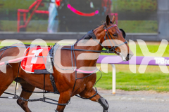 2025_Pacepix_GP31132025_Race1_BoyBlue_WIN_WEB-23