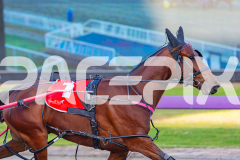 2025_Pacepix_GP31132025_Race1_BoyBlue_WIN_WEB-7