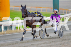 2025_PACEPIX_GP13052025_Race1_Bronzed_WIN_WEB-13