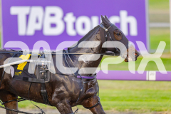 2025_PACEPIX_GP13052025_Race1_Bronzed_WIN_WEB-2