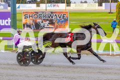 2025_PACEPIX_GP05092025_RACE1_Caberneigh_WIN_WEB-13