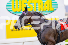 2025_PACEPIX_GP05092025_RACE1_Caberneigh_WIN_WEB-23