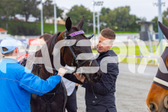 2025_PACEPIX_GP05092025_RACE1_Caberneigh_WIN_WEB-26