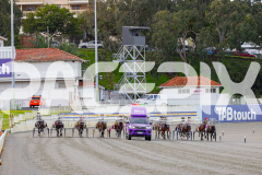2025_PACEPIX_GP05092025_RACE1_Caberneigh_WIN_WEB-3