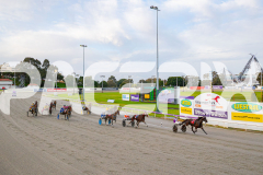2025_PACEPIX_GP05092025_RACE1_Caberneigh_WIN_WEB-31