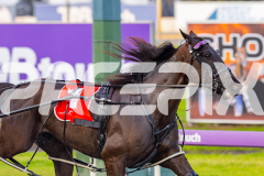 2025_PACEPIX_GP05092025_RACE1_Caberneigh_WIN_WEB-6