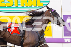 2025_PACEPIX_GP05092025_RACE1_Caberneigh_WIN_WEB-7
