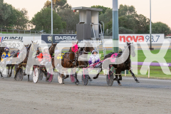 RACE 1 CABERNEIGH