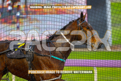 2026_Pacepix_GP07082026_Race1_CaptainStirling_WIN_WEB-13