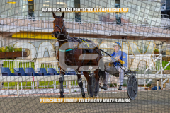 2026_Pacepix_GP07082026_Race1_CaptainStirling_WIN_WEB-17