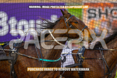 2026_Pacepix_GP07082026_Race1_CaptainStirling_WIN_WEB-5