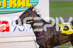 2026_PACEPIX_GP10072026_Race1_CaptainsCreek_WIN_WEB-11