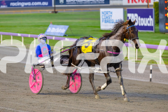 2026_PACEPIX_GP10072026_Race1_CaptainsCreek_WIN_WEB-13