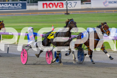 2026_PACEPIX_GP10072026_Race1_CaptainsCreek_WIN_WEB-5
