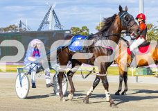 2025_PACEPIX_GP02122025_Race1_CaptainsCreek_WIN_WEB-12