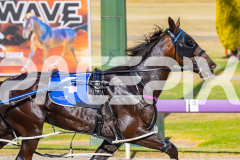 2025_PACEPIX_GP02122025_Race1_CaptainsCreek_WIN_WEB-2