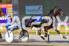 2025_PACEPIX_GP02122025_Race1_CaptainsCreek_WIN_WEB-3