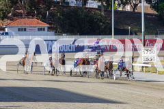 2025_PACEPIX_GP02122025_Race1_CaptainsCreek_WIN_WEB-5