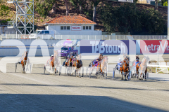 2025_PACEPIX_GP25112025_Race1_CaraDiana_WIN_WEB-1