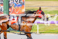 2025_PACEPIX_GP25112025_Race1_CaraDiana_WIN_WEB-12