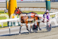 2025_PACEPIX_GP25112025_Race1_CaraDiana_WIN_WEB-13