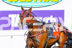 2025_PACEPIX_GP25112025_Race1_CaraDiana_WIN_WEB-14