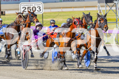 2025_PACEPIX_GP25112025_Race1_CaraDiana_WIN_WEB-5