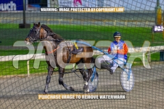 2026_PACEPIX_GP18092026_RACE1_CHACOEAGLE_WIN_WEB-15