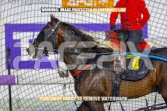 2026_PACEPIX_GP18092026_RACE1_CHACOEAGLE_WIN_WEB-16