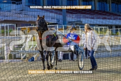 2026_PACEPIX_GP18092026_RACE1_CHACOEAGLE_WIN_WEB-21