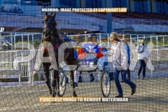 2026_PACEPIX_GP18092026_RACE1_CHACOEAGLE_WIN_WEB-22