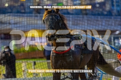 2026_PACEPIX_GP18092026_RACE1_CHACOEAGLE_WIN_WEB-23