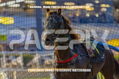 2026_PACEPIX_GP18092026_RACE1_CHACOEAGLE_WIN_WEB-24